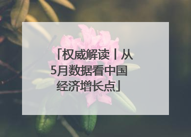 权威解读丨从5月数据看中国经济增长点