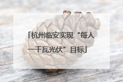 杭州临安实现“每人一千瓦光伏”目标
