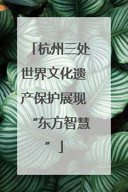 杭州三处世界文化遗产保护展现“东方智慧”
