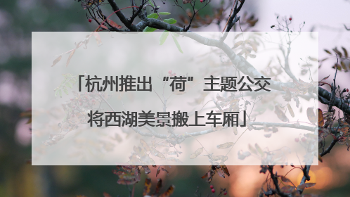杭州推出“荷”主题公交 将西湖美景搬上车厢
