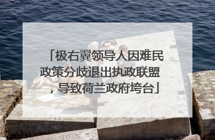极右翼领导人因难民政策分歧退出执政联盟，导致荷兰政府垮台