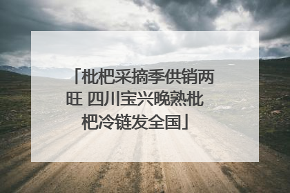 枇杷采摘季供销两旺 四川宝兴晚熟枇杷冷链发全国