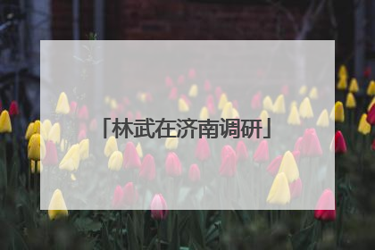 林武在济南调研