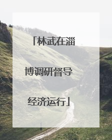 林武在淄博调研督导经济运行