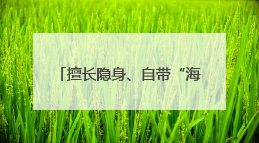擅长隐身、自带“海狸尾” 彩虹-7无人机究竟有多牛？