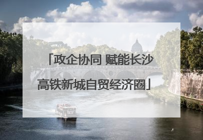 政企协同 赋能长沙高铁新城自贸经济圈