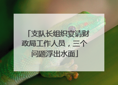 支队长组织宴请财政局工作人员，三个问题浮出水面