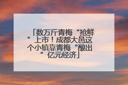 数万斤青梅“抢鲜”上市！成都大邑这个小镇靠青梅“酿出”亿元经济