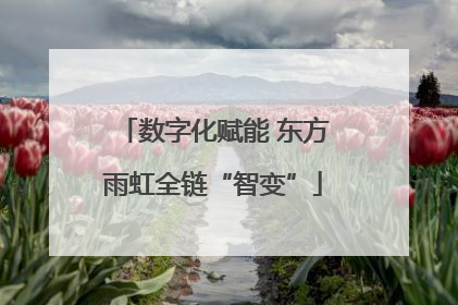 数字化赋能 东方雨虹全链“智变”