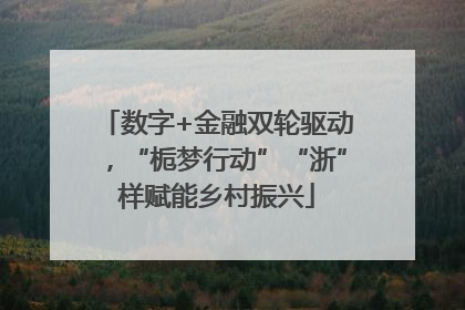 数字+金融双轮驱动，“栀梦行动”“浙”样赋能乡村振兴