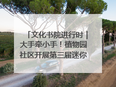 文化书院进行时｜大手牵小手！植物园社区开展第三届迷你马拉松活动