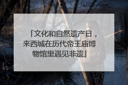 文化和自然遗产日，来西城在历代帝王庙博物馆里遇见非遗