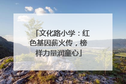 文化路小学：红色基因薪火传，榜样力量润童心