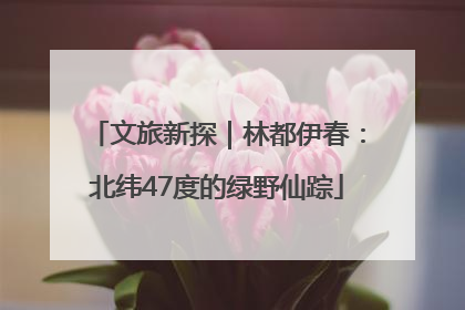 文旅新探｜林都伊春：北纬47度的绿野仙踪
