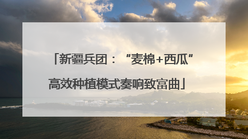 新疆兵团：“麦棉+西瓜”高效种植模式奏响致富曲