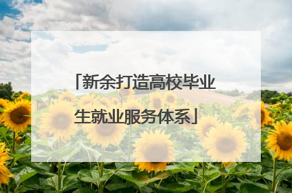 新余打造高校毕业生就业服务体系