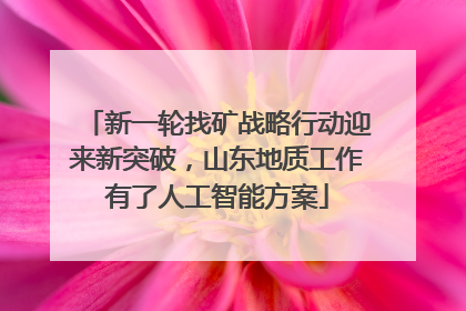 新一轮找矿战略行动迎来新突破，山东地质工作有了人工智能方案