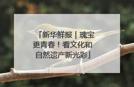 新华鲜报｜瑰宝更青春！看文化和自然遗产新光彩