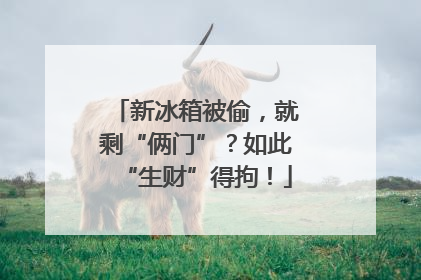 新冰箱被偷，就剩“俩门”？如此“生财”得拘！