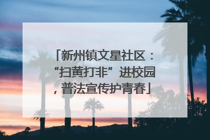 新州镇文星社区：“扫黄打非”进校园，普法宣传护青春