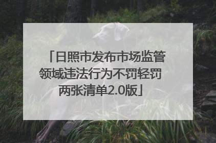 日照市发布市场监管领域违法行为不罚轻罚两张清单2.0版