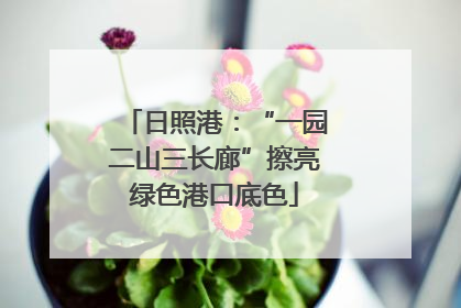 日照港：“一园二山三长廊”擦亮绿色港口底色