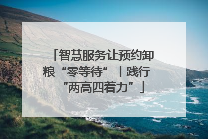 智慧服务让预约卸粮“零等待”丨践行“两高四着力”