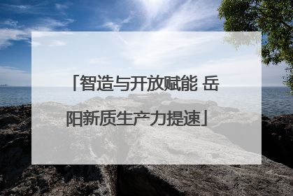 智造与开放赋能 岳阳新质生产力提速