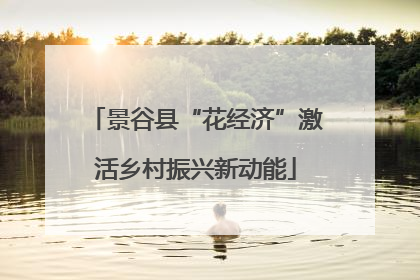 景谷县“花经济”激活乡村振兴新动能
