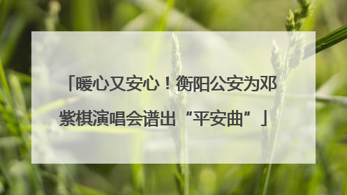 暖心又安心！衡阳公安为邓紫棋演唱会谱出“平安曲”