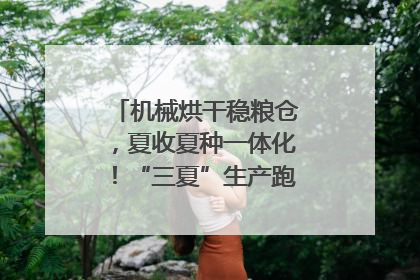 机械烘干稳粮仓，夏收夏种一体化！“三夏”生产跑出加速度｜麦报