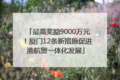 最高奖励9000万元！厦门12条新措施促进港航贸一体化发展