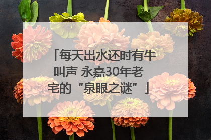 每天出水还时有牛叫声 永嘉30年老宅的“泉眼之谜”