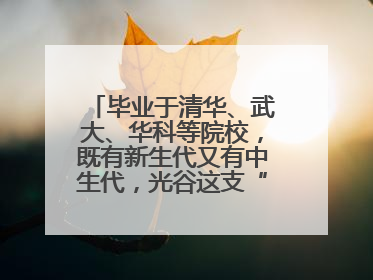 毕业于清华、武大、华科等院校，既有新生代又有中生代，光谷这支“理工男团”为何“出道”？
