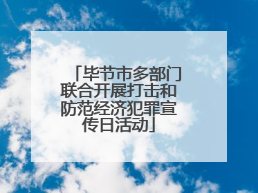 毕节市多部门联合开展打击和防范经济犯罪宣传日活动