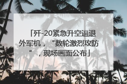 歼-20紧急升空逼退外军机，“数轮激烈攻防”，现场画面公布