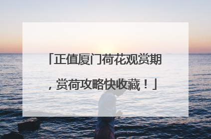 正值厦门荷花观赏期，赏荷攻略快收藏！