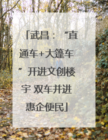 武昌：“直通车+大篷车”开进文创楼宇 双车并进惠企便民