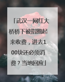武汉一网红大桥桥下被指圈起来收费，进去100块还必须消费？当地回应