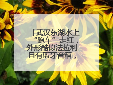 武汉东湖水上“跑车”走红，外形酷似法拉利且有蓝牙音箱，负责人：高峰期一两百人排队