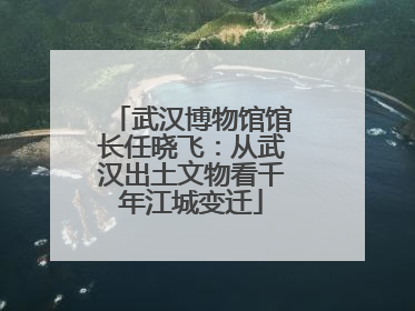 武汉博物馆馆长任晓飞：从武汉出土文物看千年江城变迁
