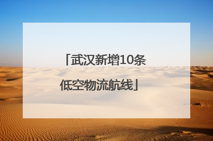 武汉新增10条低空物流航线