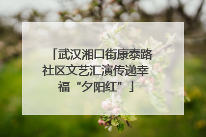 武汉湘口街康泰路社区文艺汇演传递幸福“夕阳红”