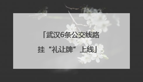 武汉6条公交线路挂“礼让牌”上线