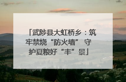 武陟县大虹桥乡：筑牢禁烧“防火墙” 守护夏粮好“丰”景