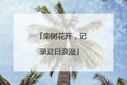 栾树花开，记录夏日浪漫