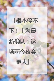 根本停不下！上海最新确认：这场雨今夜会更大