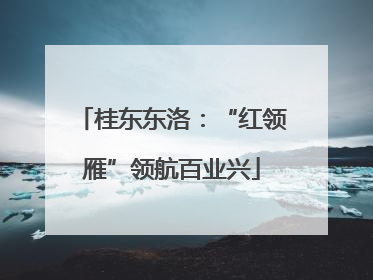 桂东东洛：“红领雁”领航百业兴