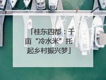 桂东四都：千亩“冷水米”托起乡村振兴梦