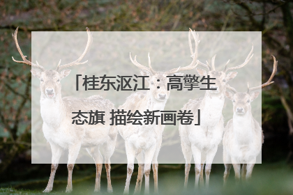 桂东沤江：高擎生态旗 描绘新画卷